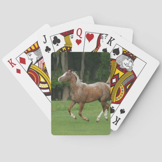 Appaloosa Horse Running Playing Cards (Back)