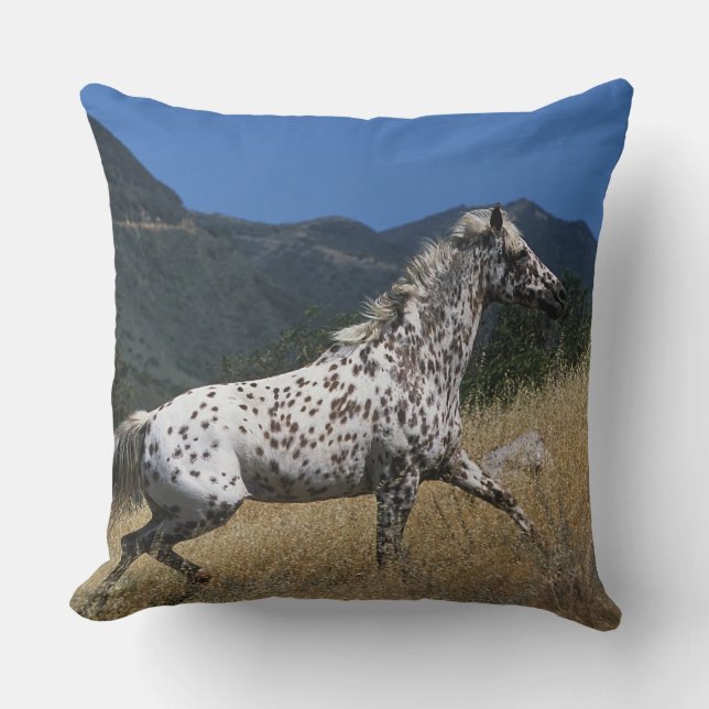 Appaloosa Horse Running up Mountain Cushion (Front)