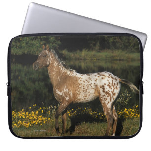 Appaloosa Horse Standing by Lake Laptop Sleeve