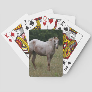 Appaloosa Horse Standing in the Grass Playing Cards