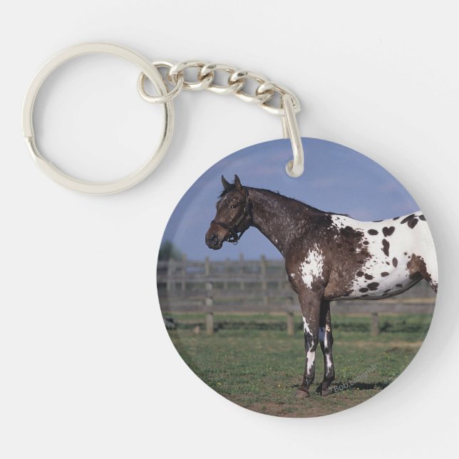 Appaloosa Horse Standing Key Ring (Front)