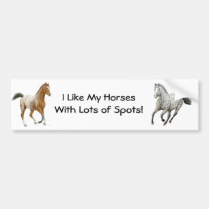 Appaloosa Horses Bumper Sticker
