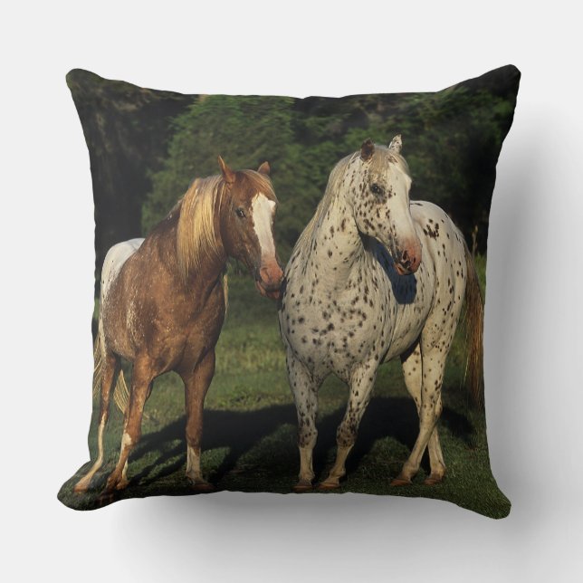 Appaloosa Horses Cushion (Front)