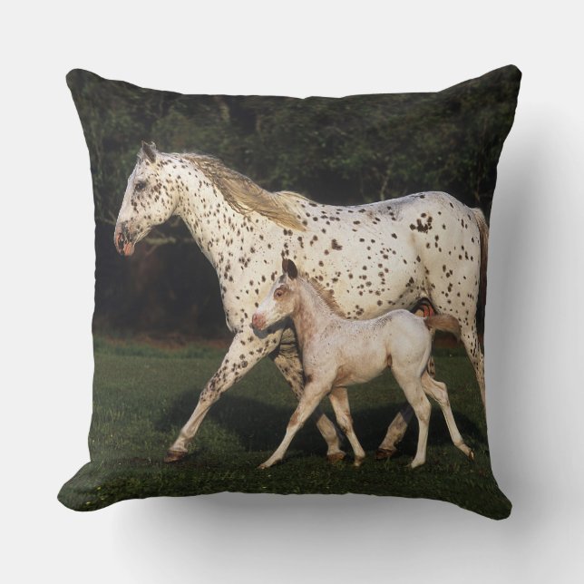 Appaloosa Mare And Foal in Field Cushion (Front)