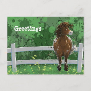 Appaloosa Painted Pony Postcard