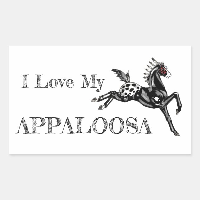 Appaloosa Rectangular Sticker (Front)