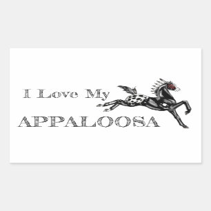 Appaloosa Rectangular Sticker