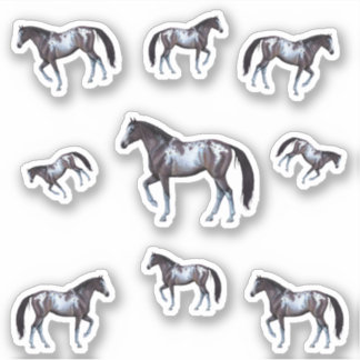 Appaloosa Western horse mare | Illustration -