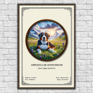 Appenzeller Sennenhund Zoology Series Poster