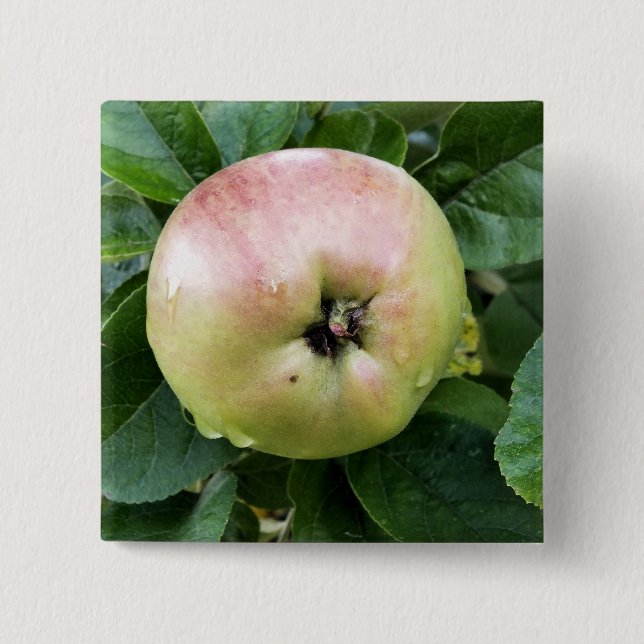 APPLE 15 CM SQUARE BADGE (Front)