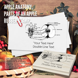 Apple Anatomy, Parts of an Apple Rubber Stamp