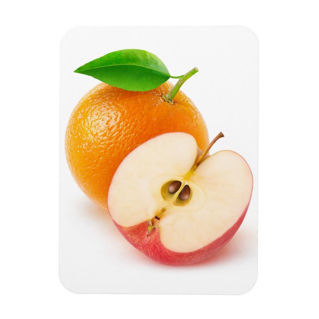 Apple and orange magnet (Vertical)