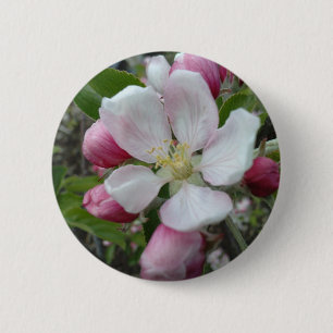 Apple Blossom 6 Cm Round Badge