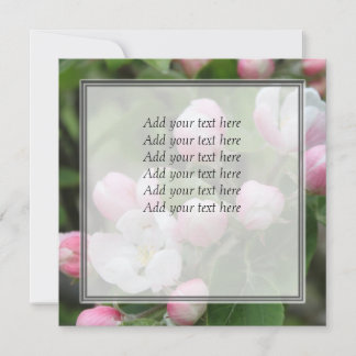 apple blossom and green leaves