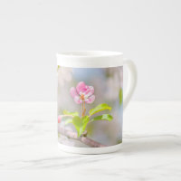 Apple blossom - Beauty