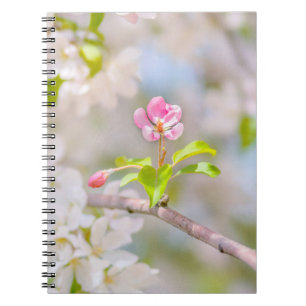 Apple blossom - Beauty Notebook