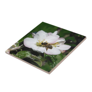 Apple Blossom & Bee Macro Photo | Ceramic Tile