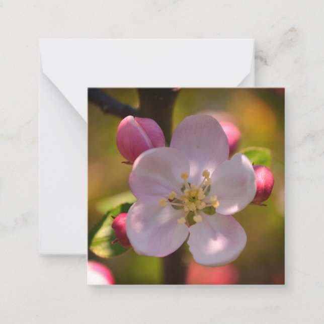 Apple Blossom Card (Front)