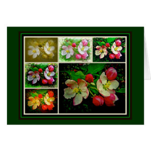 Apple Blossom Collage - Enhanced Digital Photo