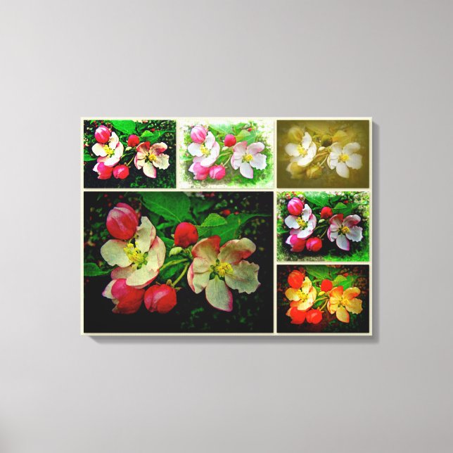 Apple Blossom Collage - Enhanced Digital Photo Canvas Print (Front)