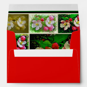 Apple Blossom Collage - Enhanced Digital Photo Envelope