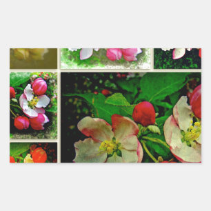 Apple Blossom Collage - Enhanced Digital Photo Rectangular Sticker