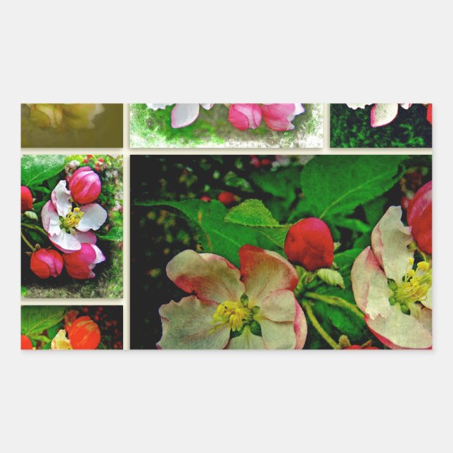 Apple Blossom Collage - Enhanced Digital Photo Rectangular Sticker (Front)