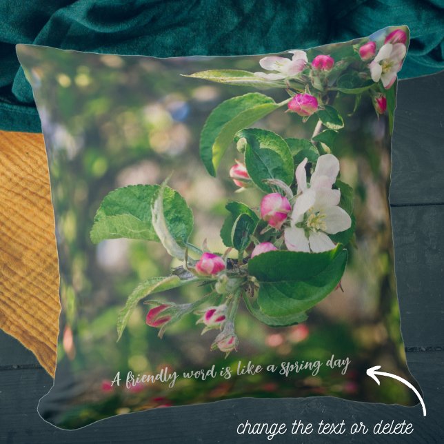 Apple blossom cushion (Creator Uploaded)