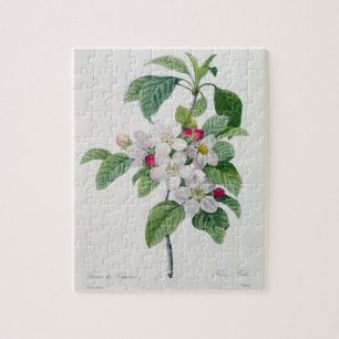 Apple Blossom, from 'Les Choix des Plus Belles Jigsaw Puzzle