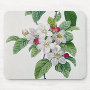 Apple Blossom, from 'Les Choix des Plus Belles Mouse Pad