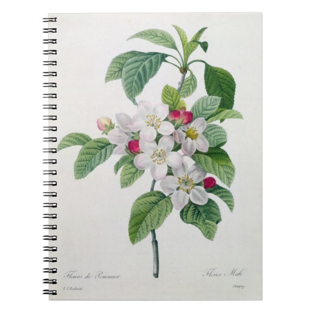 Apple Blossom, from 'Les Choix des Plus Belles Spiral Notebook (Front)