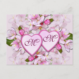 APPLE BLOSSOM & HEARTS ~ Postcard
