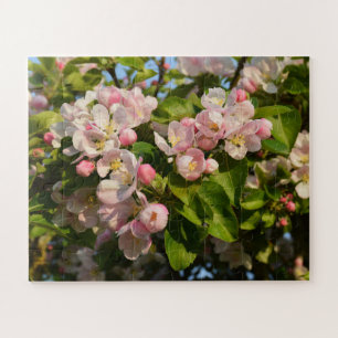 Apple blossom jigsaw puzzle