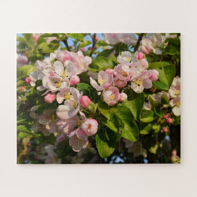 Apple blossom  jigsaw puzzle (Horizontal)