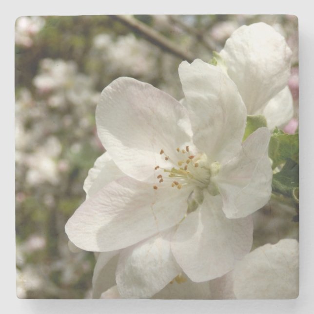 Apple Blossom Marble Stone Coaster (Front)