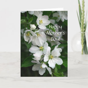 Apple Blossom Mother's Day Card