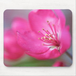 Apple Blossom Mousepad