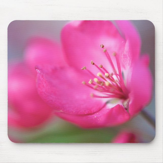 Apple Blossom Mousepad (Front)
