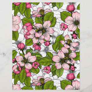 Apple blossom on white