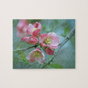 Apple Blossom #P0356 Puzzle