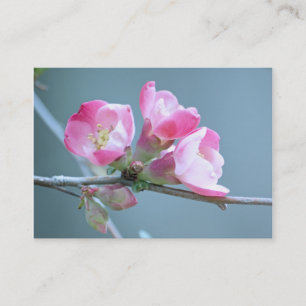 Apple Blossom #P0358 Mini Print Business Card