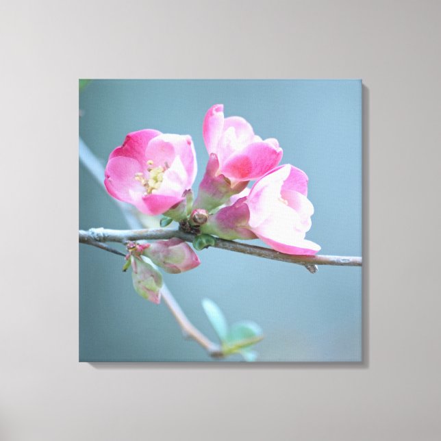 Apple Blossom #P0358 Wrapped Canvas (Front)