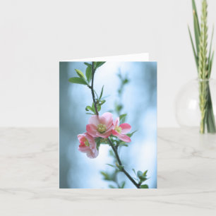 Apple Blossom #P0365 Card