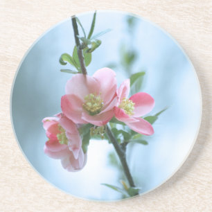 Apple Blossom #P0365 Coaster