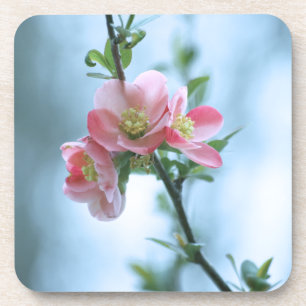 Apple Blossom #P0365 Cork Coaster