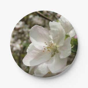 Apple Blossom Paper Plates