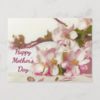 Apple Blossom Post Card