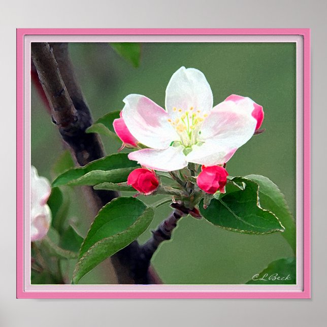 Apple Blossom Poster; Watercolor Impressionistic Poster (Front)
