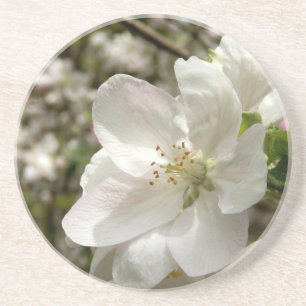 Apple Blossom Sandstone Coaster
