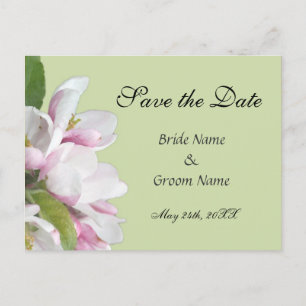 apple blossom save the date postcard